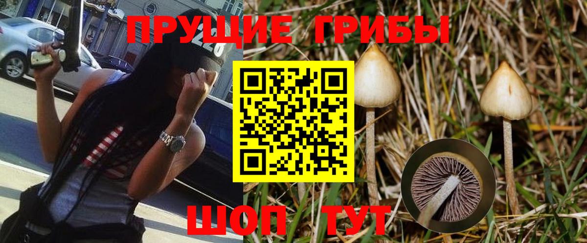 Галлюциногенные грибы Psilocybe Лосино-Петровский