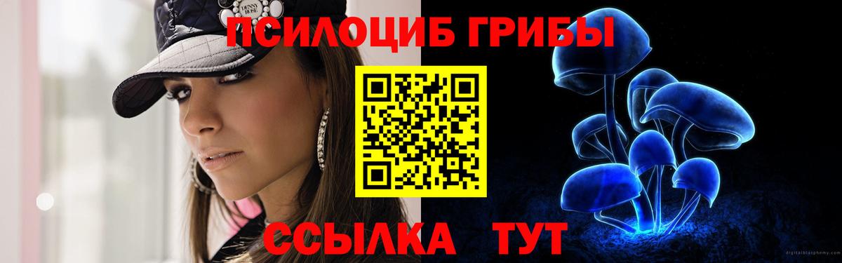 Галлюциногенные грибы Psilocybine cubensis  Псилоцибиновые грибы ЛСД  Лосино-Петровский  Вход с VPN 